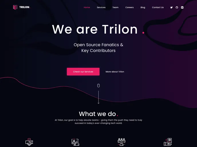 screenshot of Zeit Now Nestjs