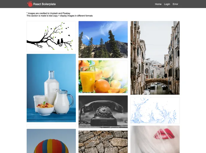 screenshot of React Typescript Boilerplate