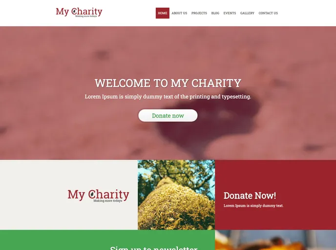 screenshot of Charity_responsive Template