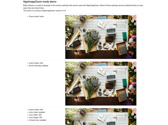 screenshot of Ngx Image Zoom