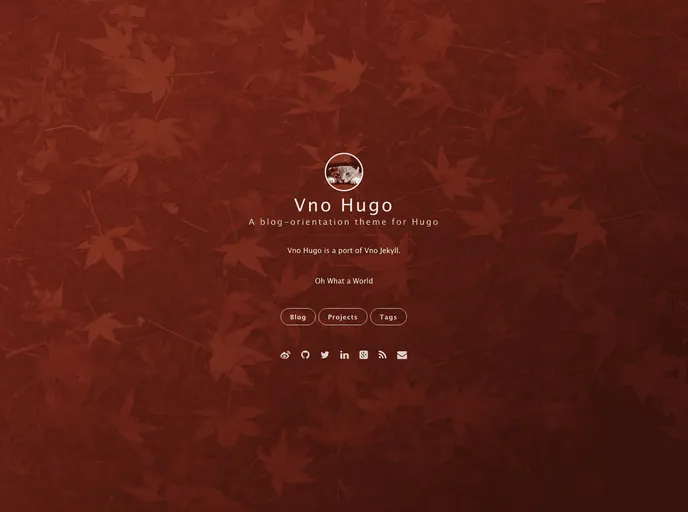 screenshot of Vno Hugo