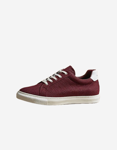 Stylish Maroon Sneaker