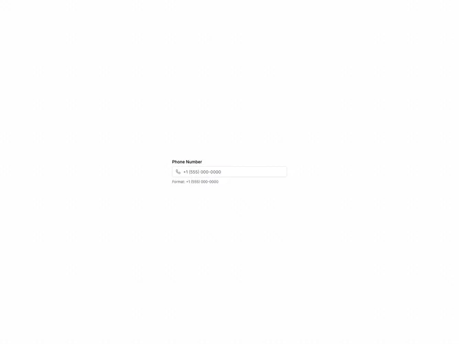 Shadcn Input Types 6 component